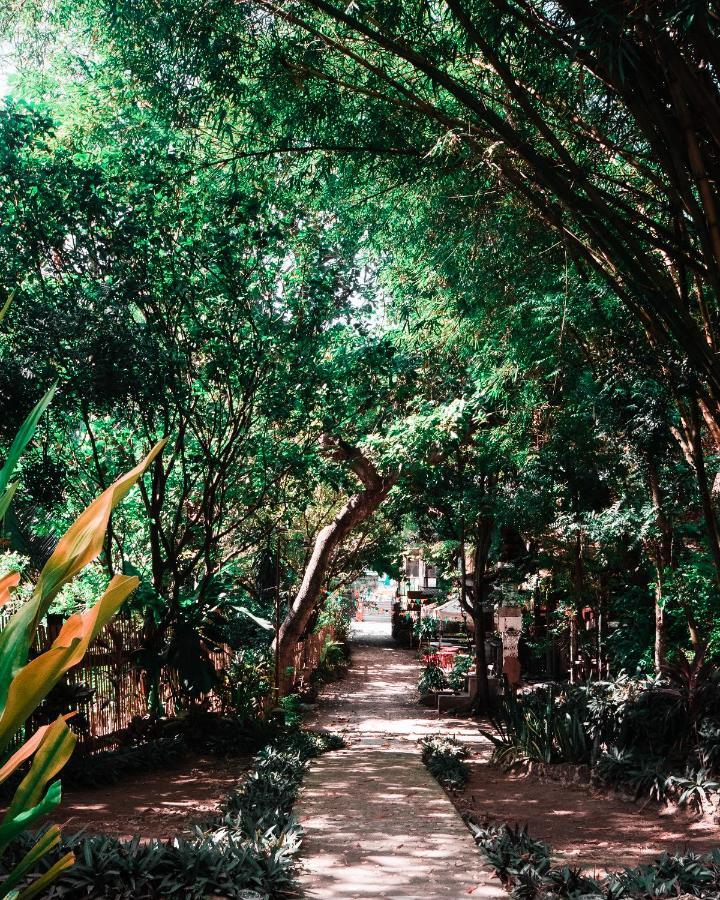 Oasis Balili Heritage Lodge Tagbilaran Exteriér fotografie